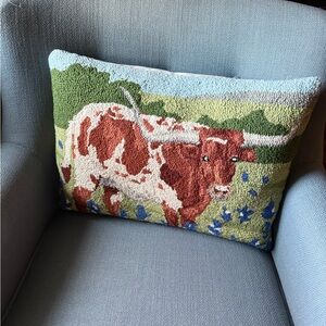 Longhorn LatchHook Pillow